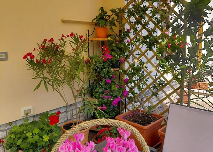 Casa Della Nonna شقة *